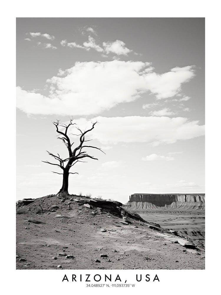 Poster Of Arizona, Usa, Black And White Analogue Photograph 1