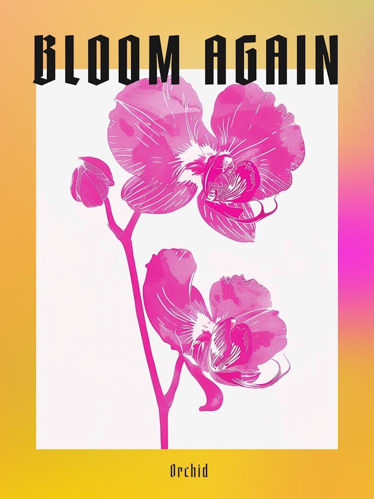 Hot Pink Orchid 4 Poster