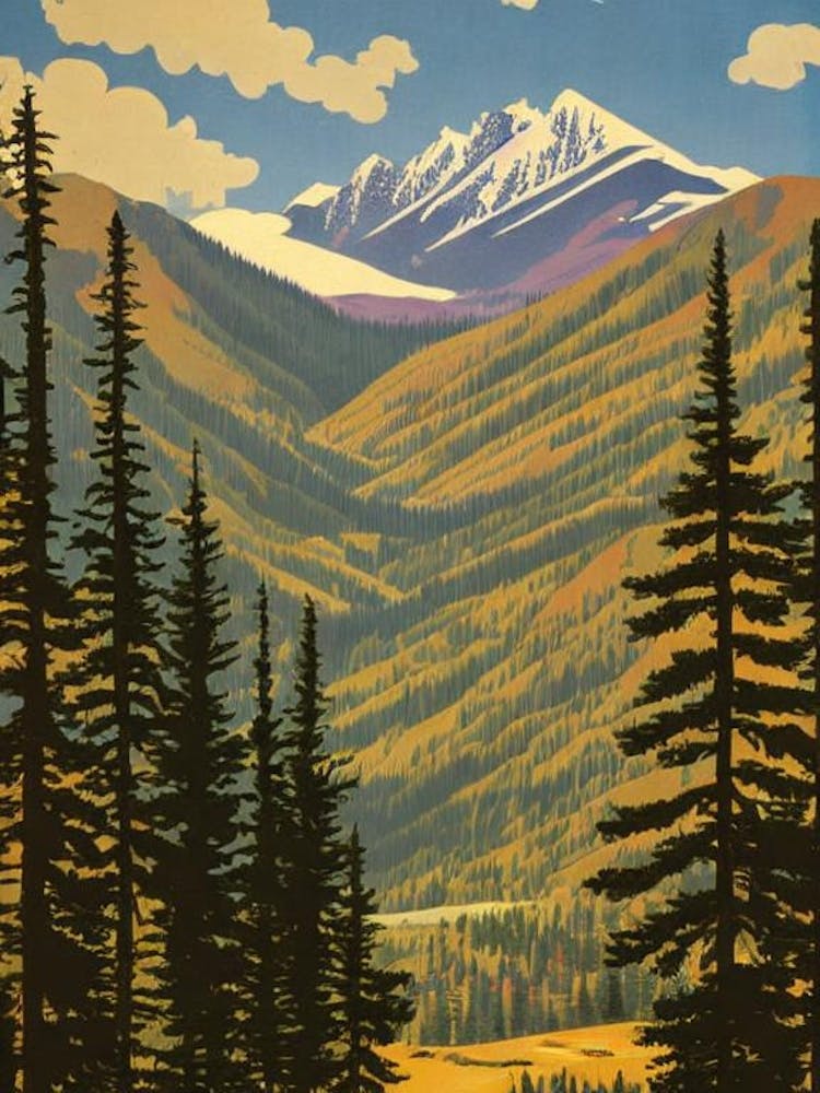 Olympic National Park United States Of America Vintage Poster