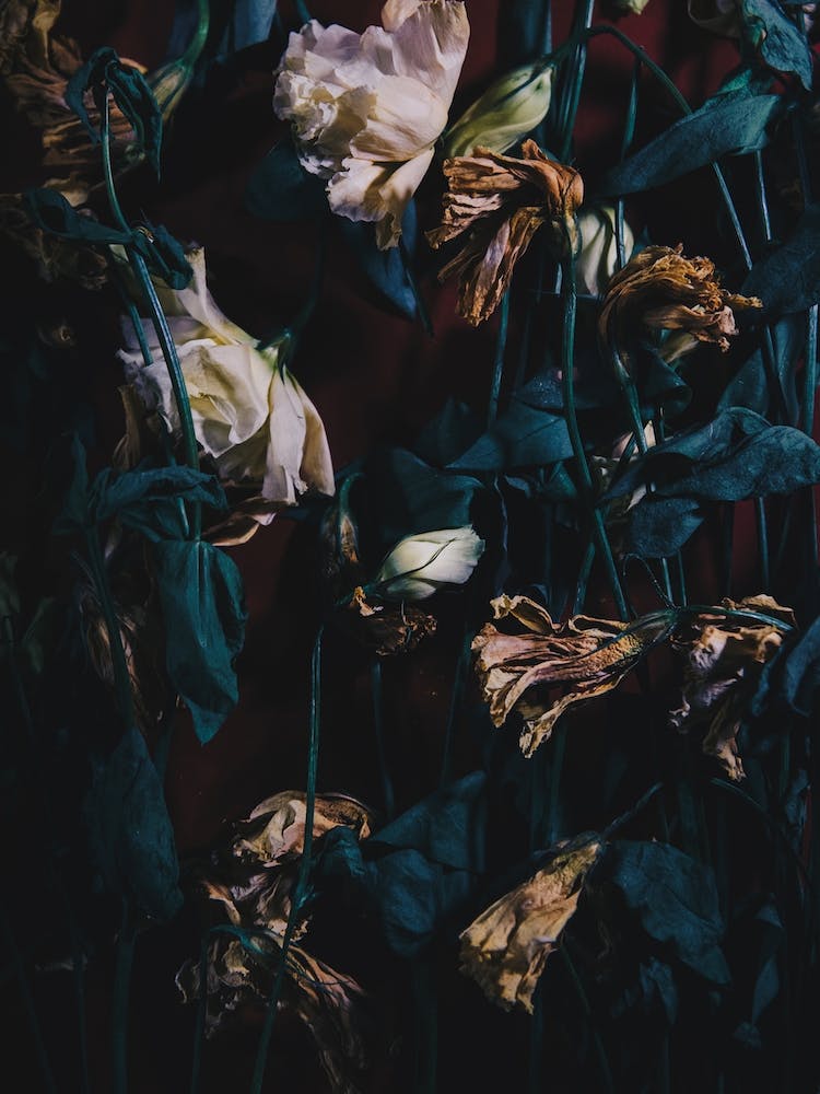 Roses In Green