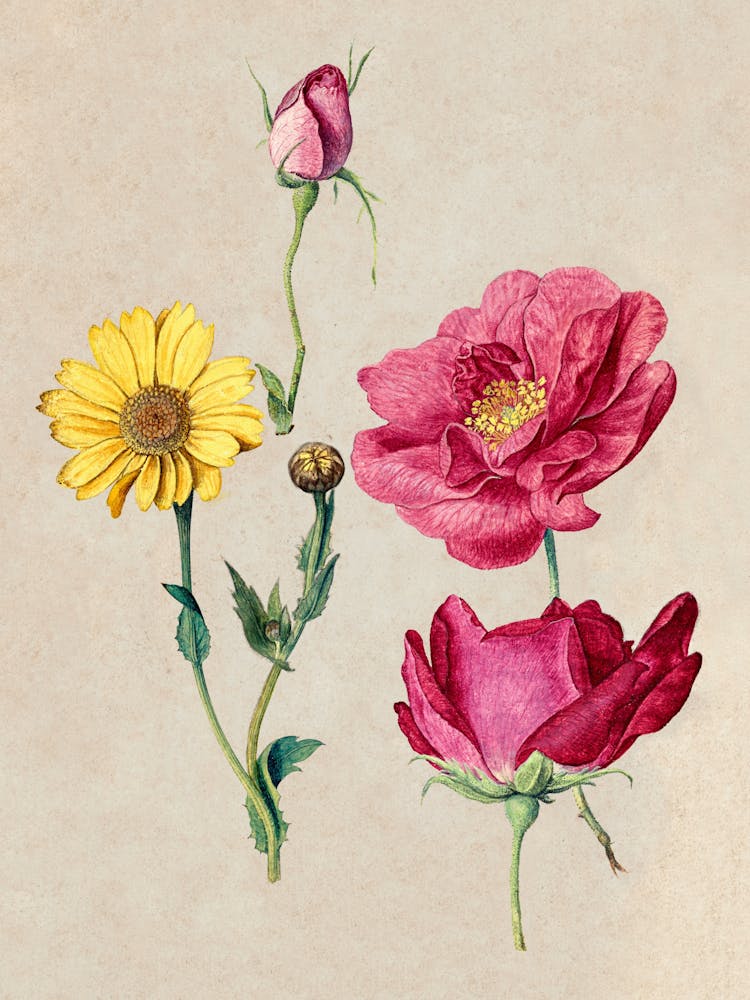 Vintage Floral Print