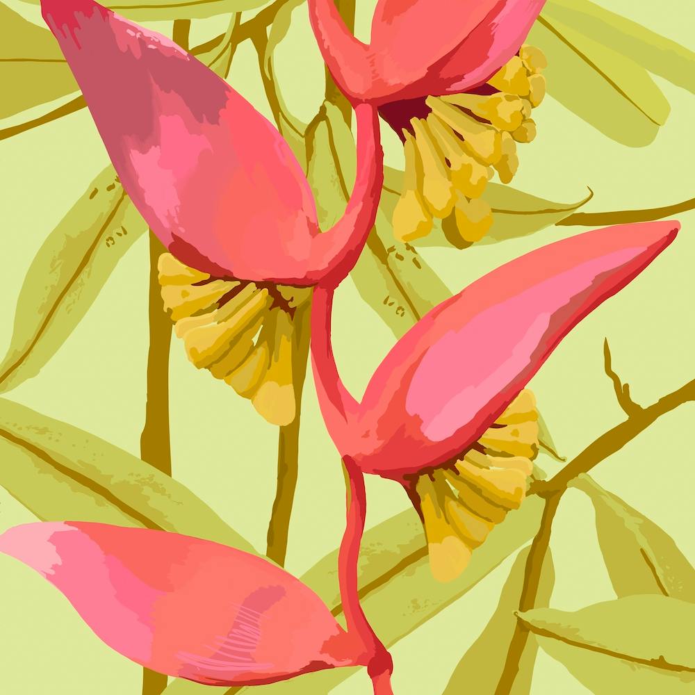 Heliconia Flowers Square