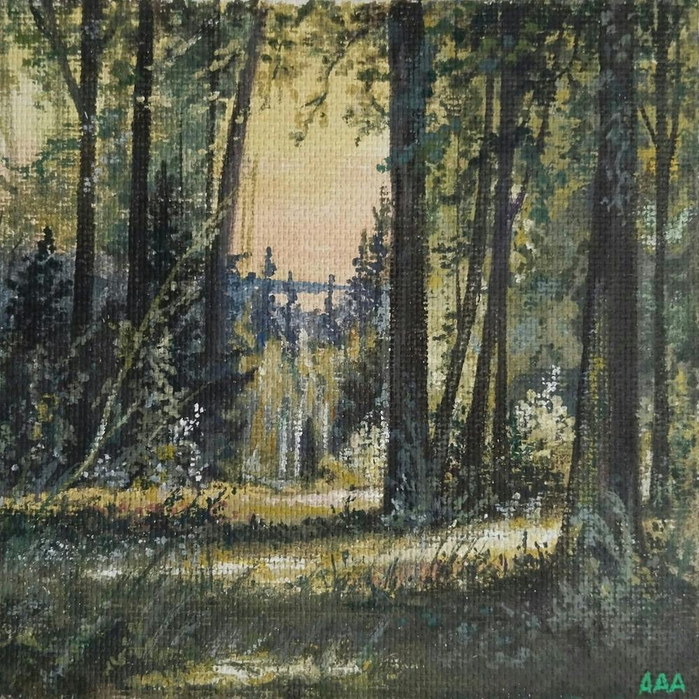Morgendämmerung im Wald