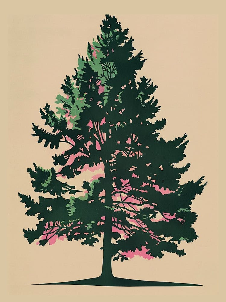 Hemlock Tree Colourful Illustration 3