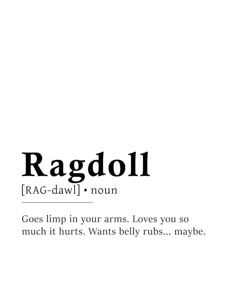 Ragdoll Definition Poster - Dictionary