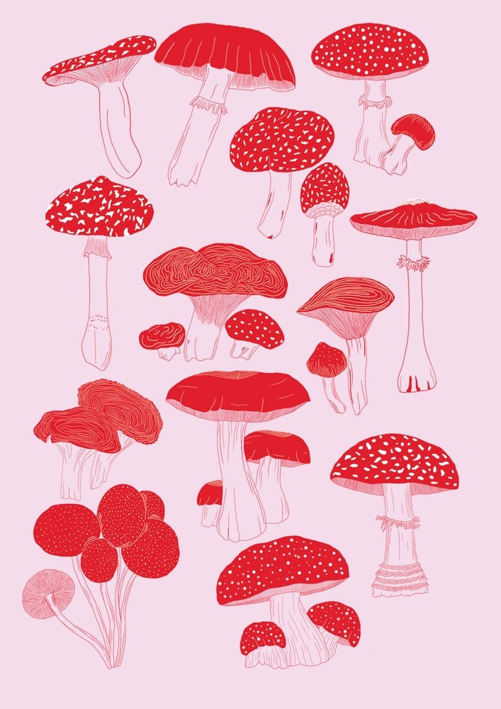 Pink And Red Illustrated Mushroom