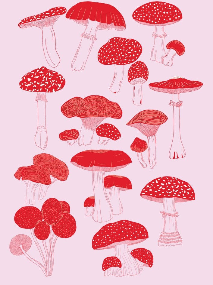 Pink And Red Illustrated Mushroom