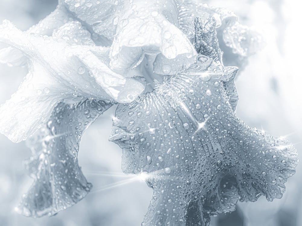 Glass Crystal Flower With Shine
