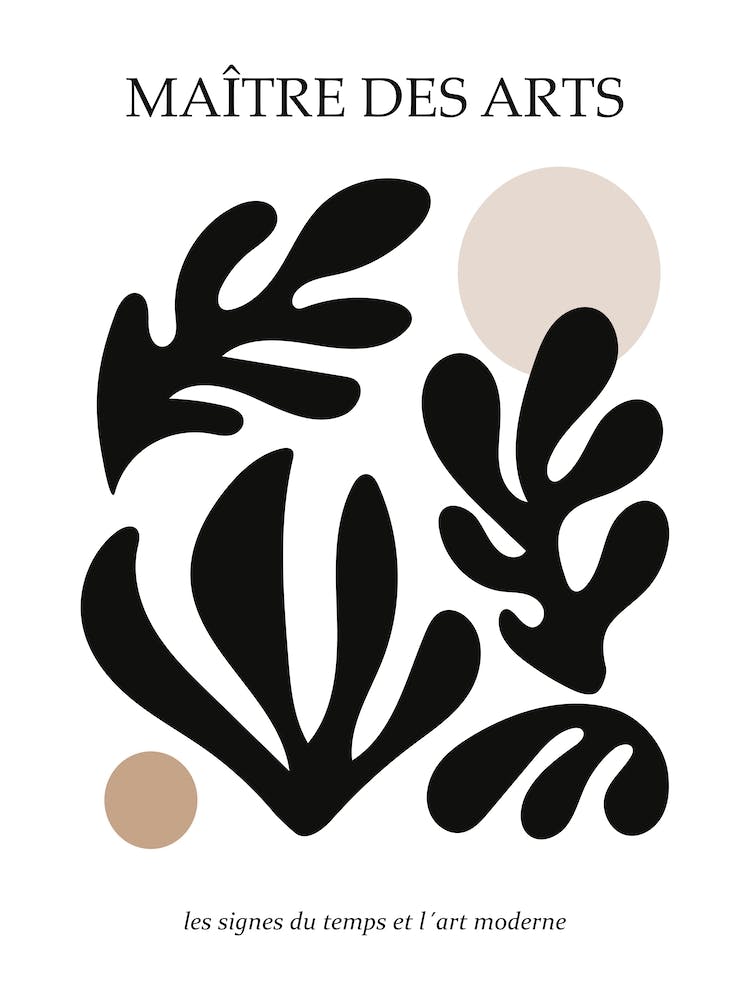 Matière Des Arts Matisse