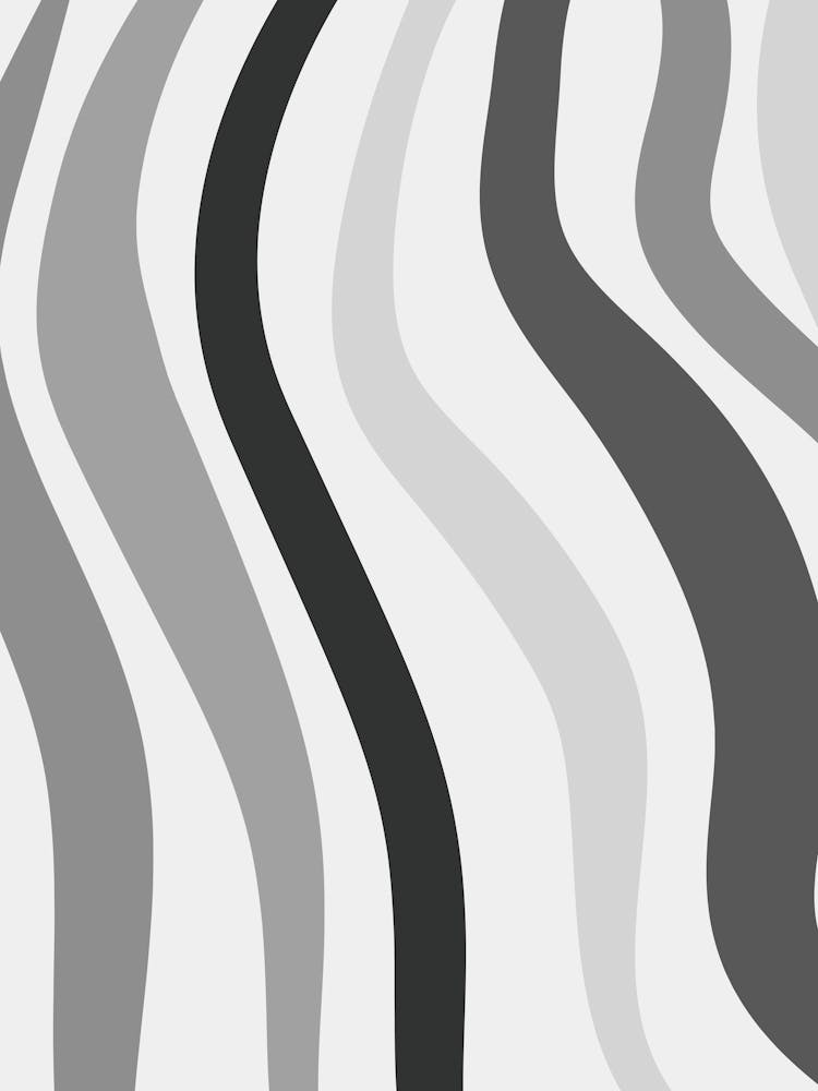 Zebra Stripes