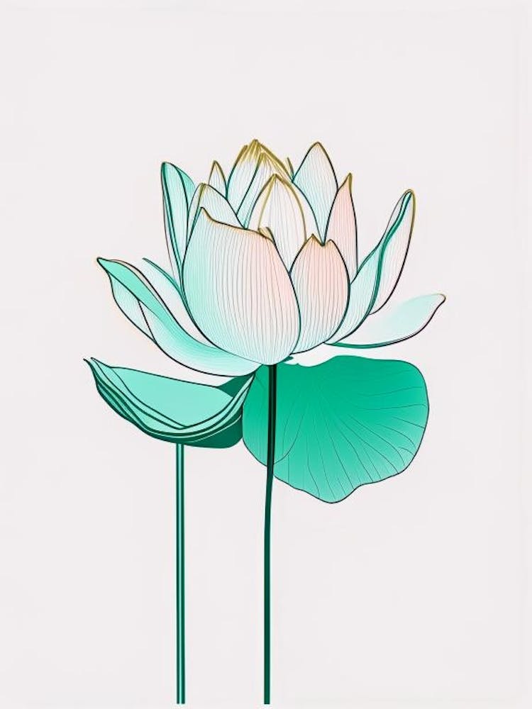 Seerose Florale Minimalistische Strichzeichnung 2 Blume