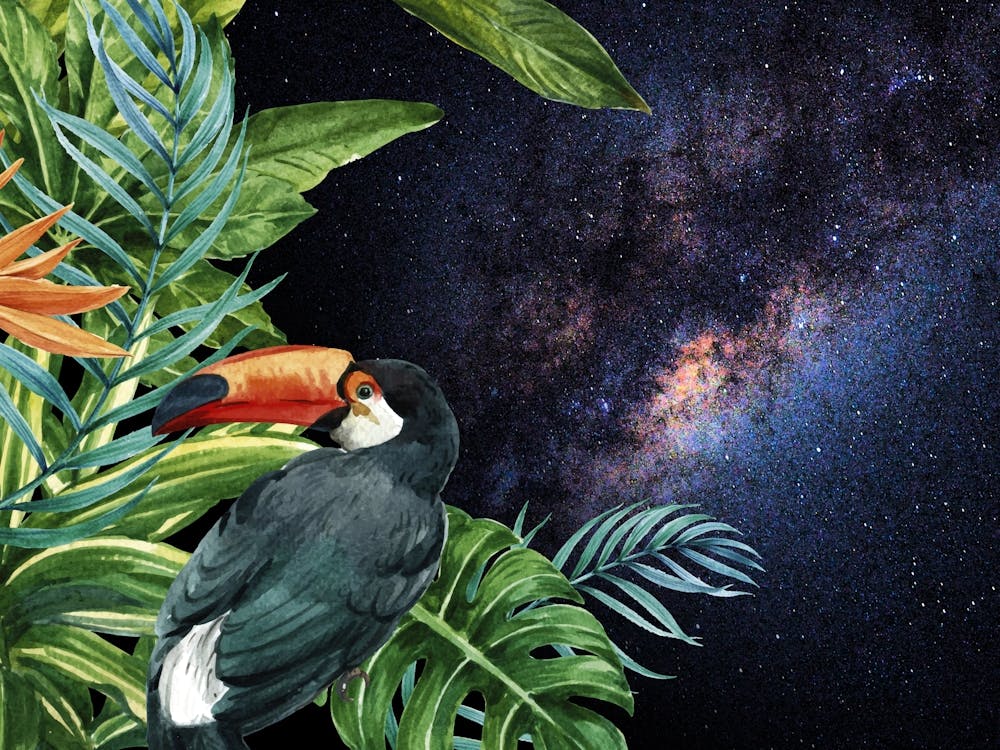 Tropical Synthwave Space Garden #14: Tukan