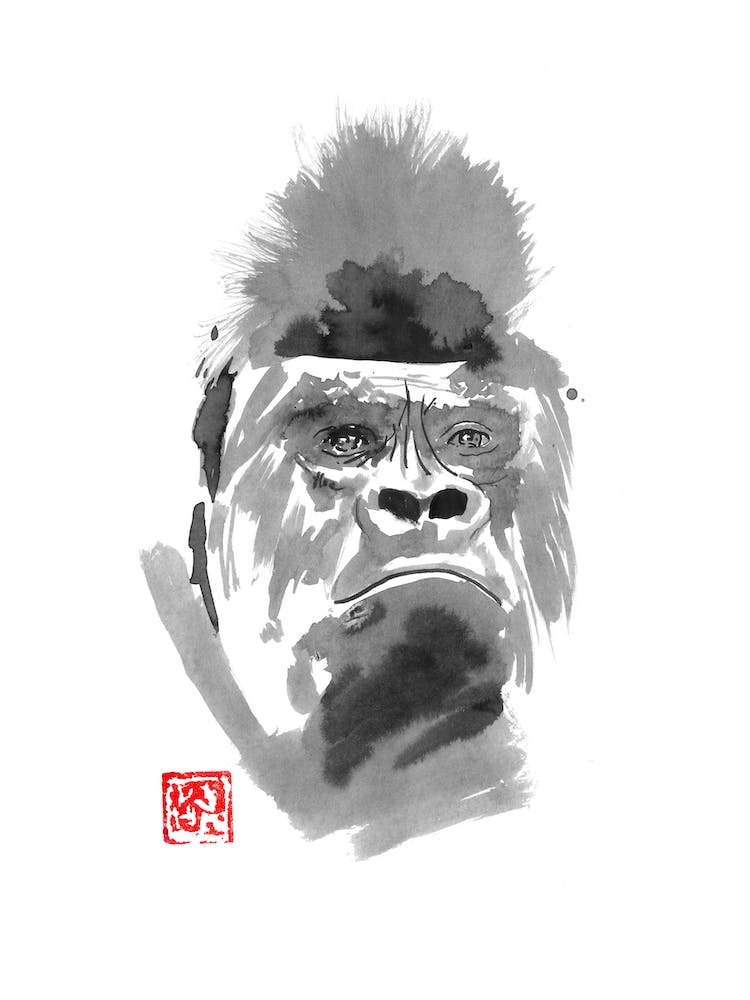 Gorilla