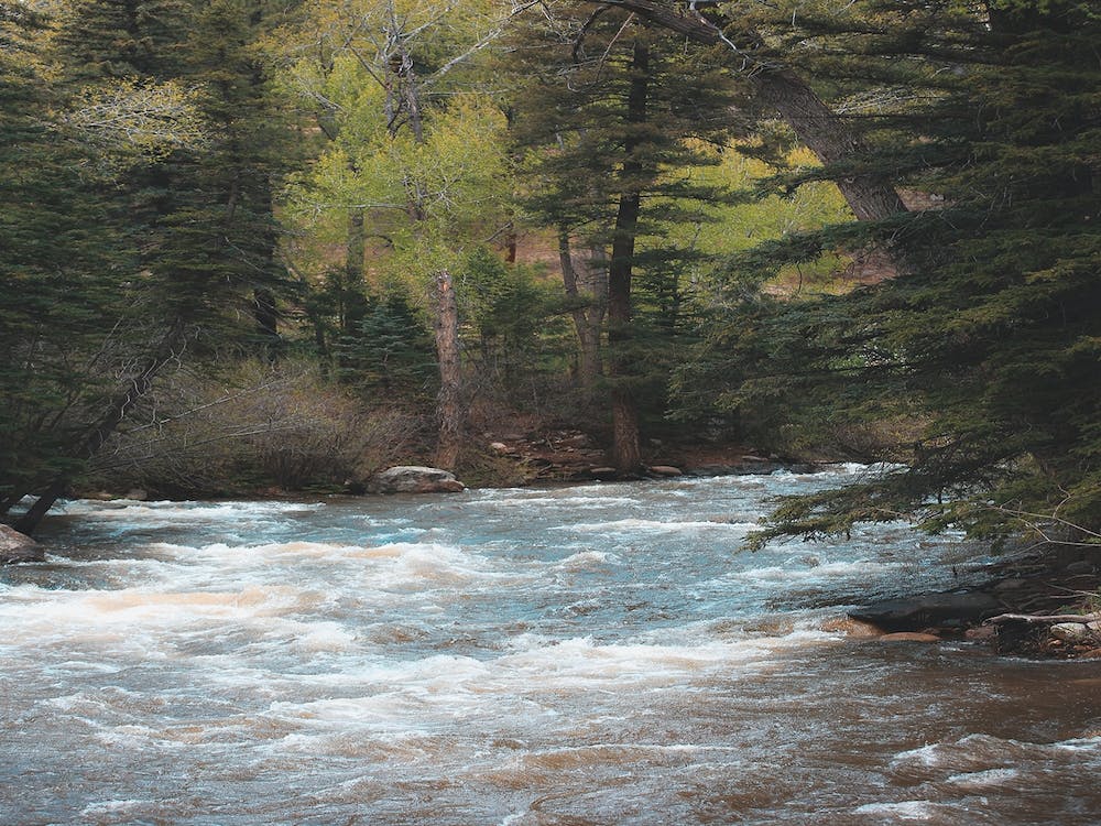 Rapids In The River