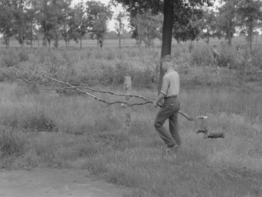 Member Of Migrant Family Gathering Firewood For Cooking Near Henrietta I E Henryetta, Oklahoma By Russell Lee