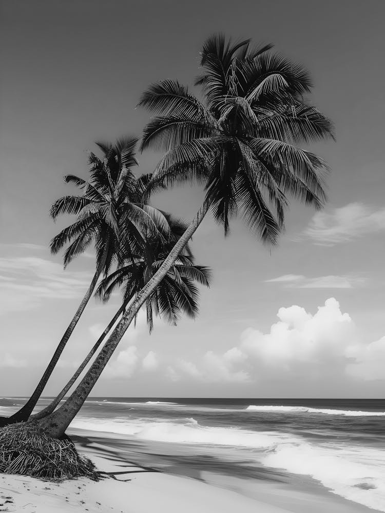 Two Palm Trees On The Beach 1