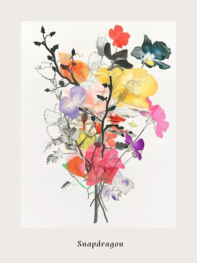 Snapdragon 2 Collage Flower Bouquet Poster