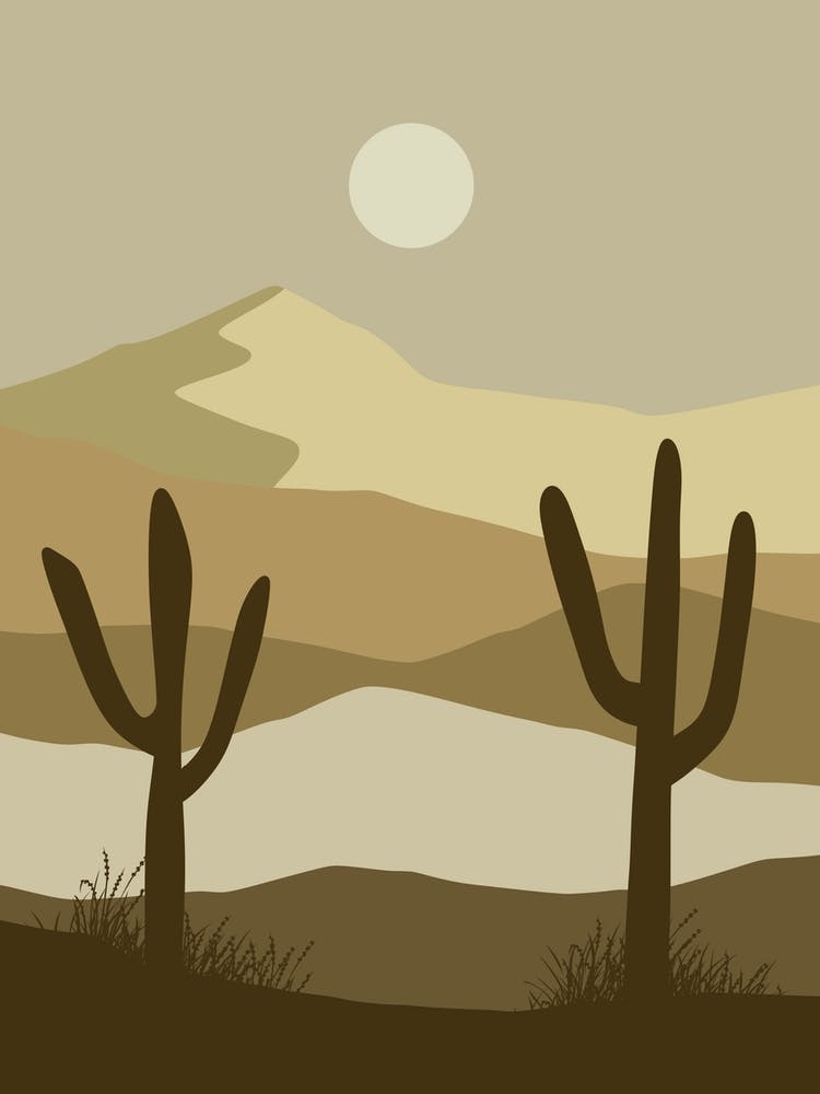Cactus In The Desert 17