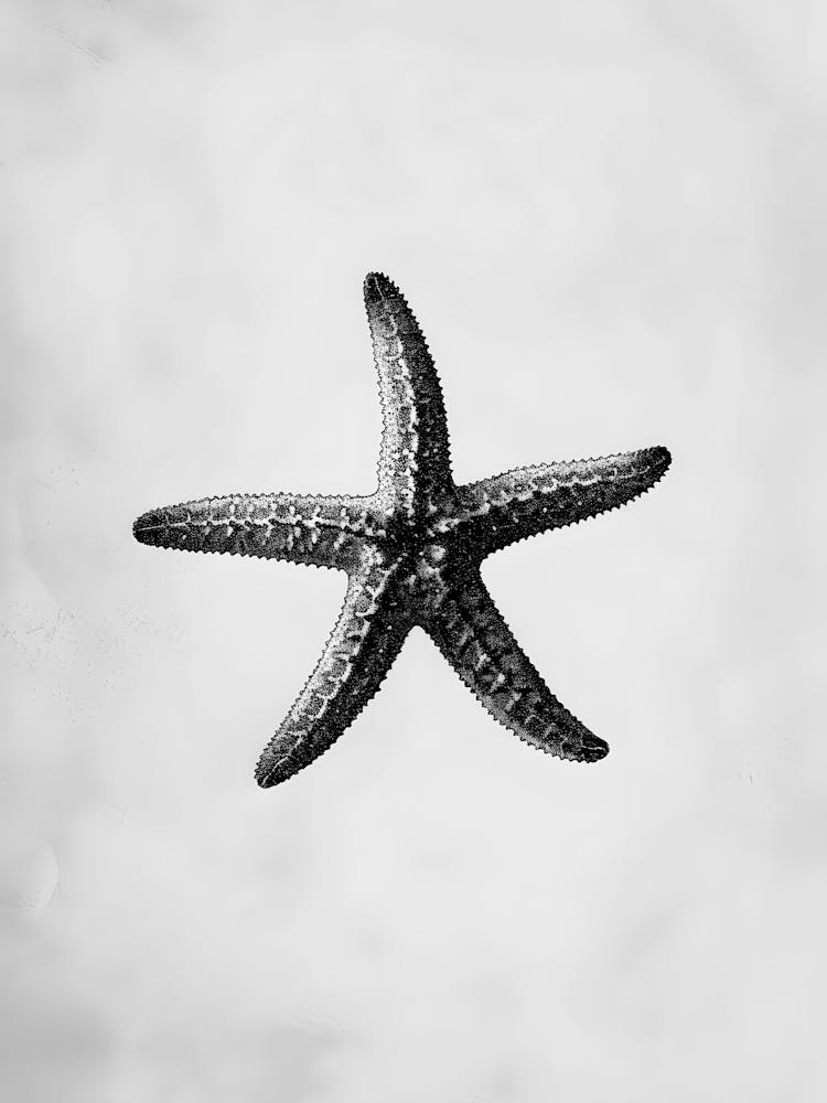Starfish 10