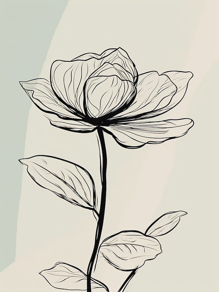 Line Art Lotus Flowers Illustration Neutral 11