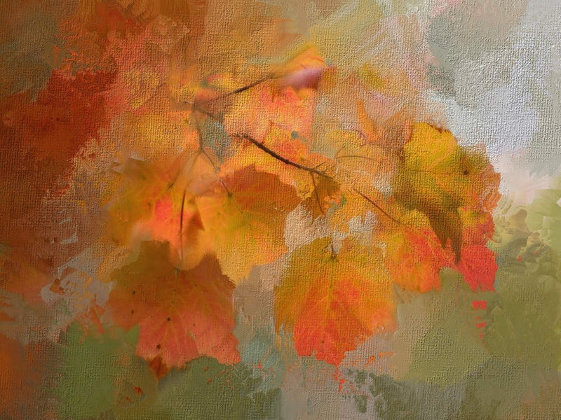 Autumn Leaves 3