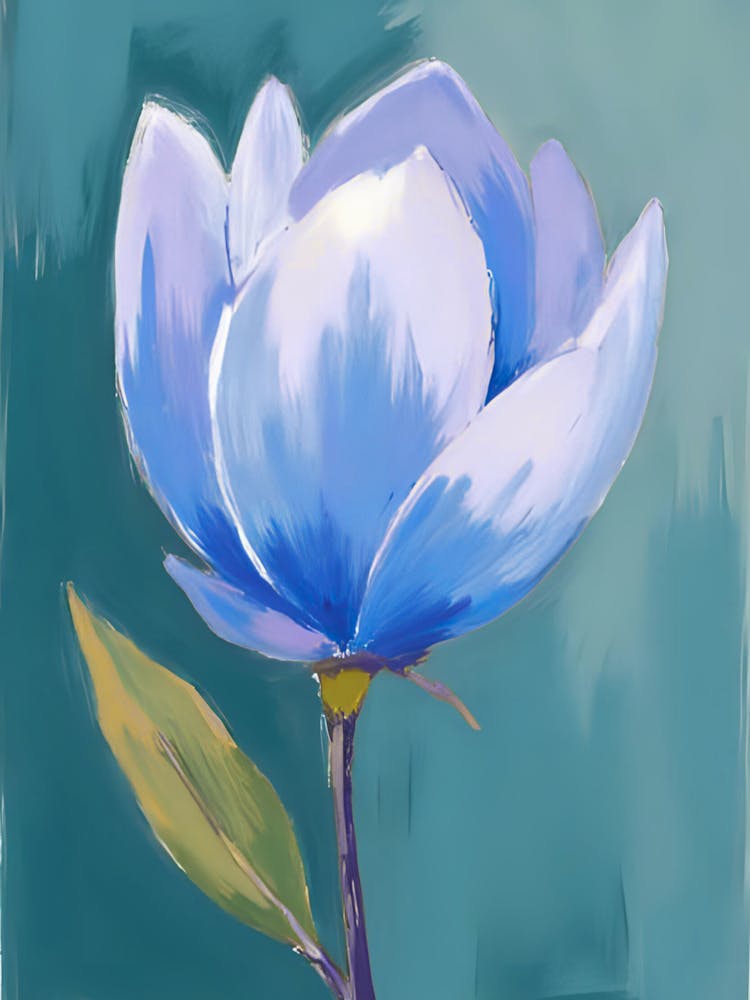 Magnolia 16