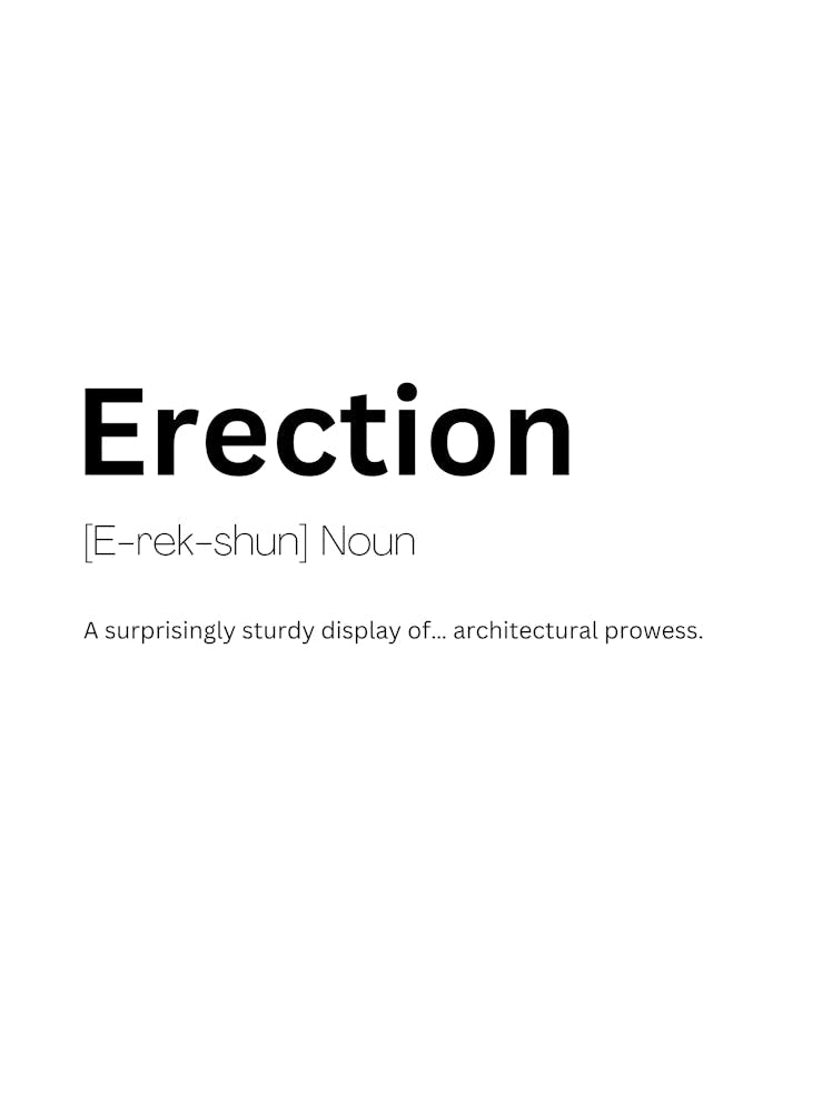 Erection Definition Meaning 1