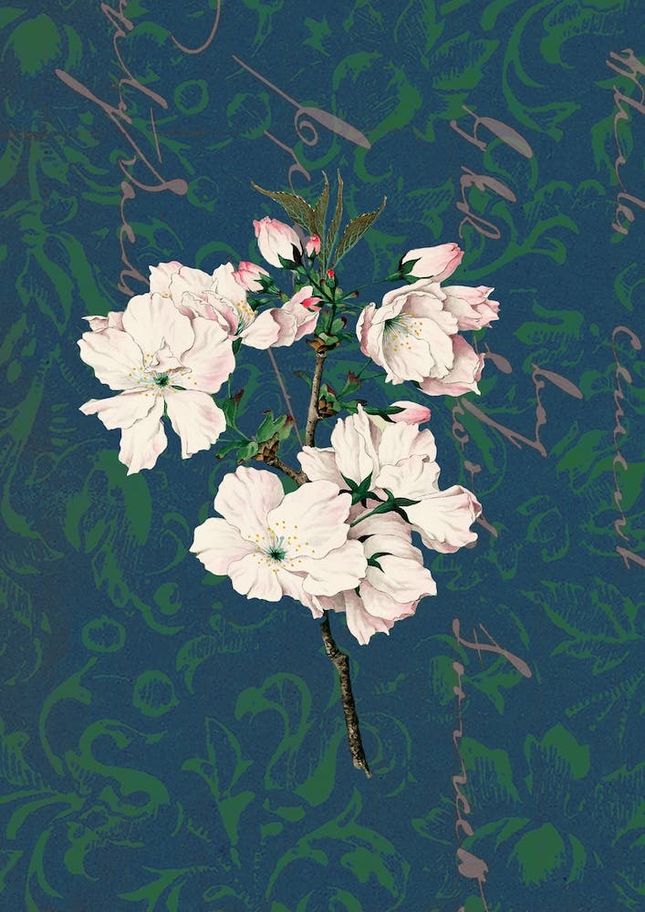 Floral Garden 12