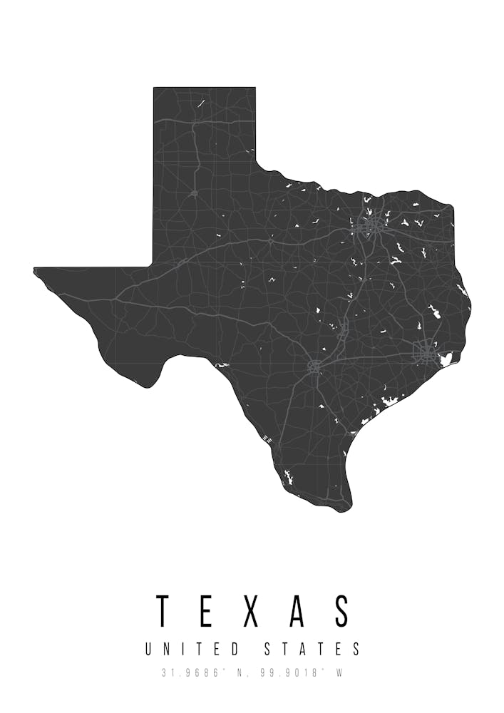 Texas Mono Black And White Modern Minimal Street Map