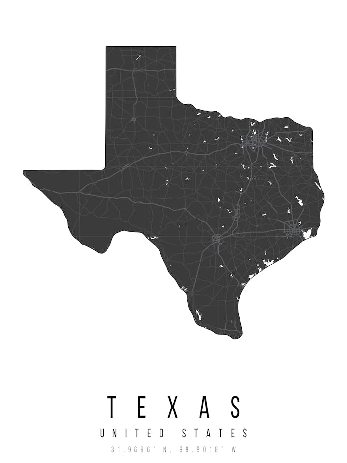 Texas Mono Black And White Modern Minimal Street Map