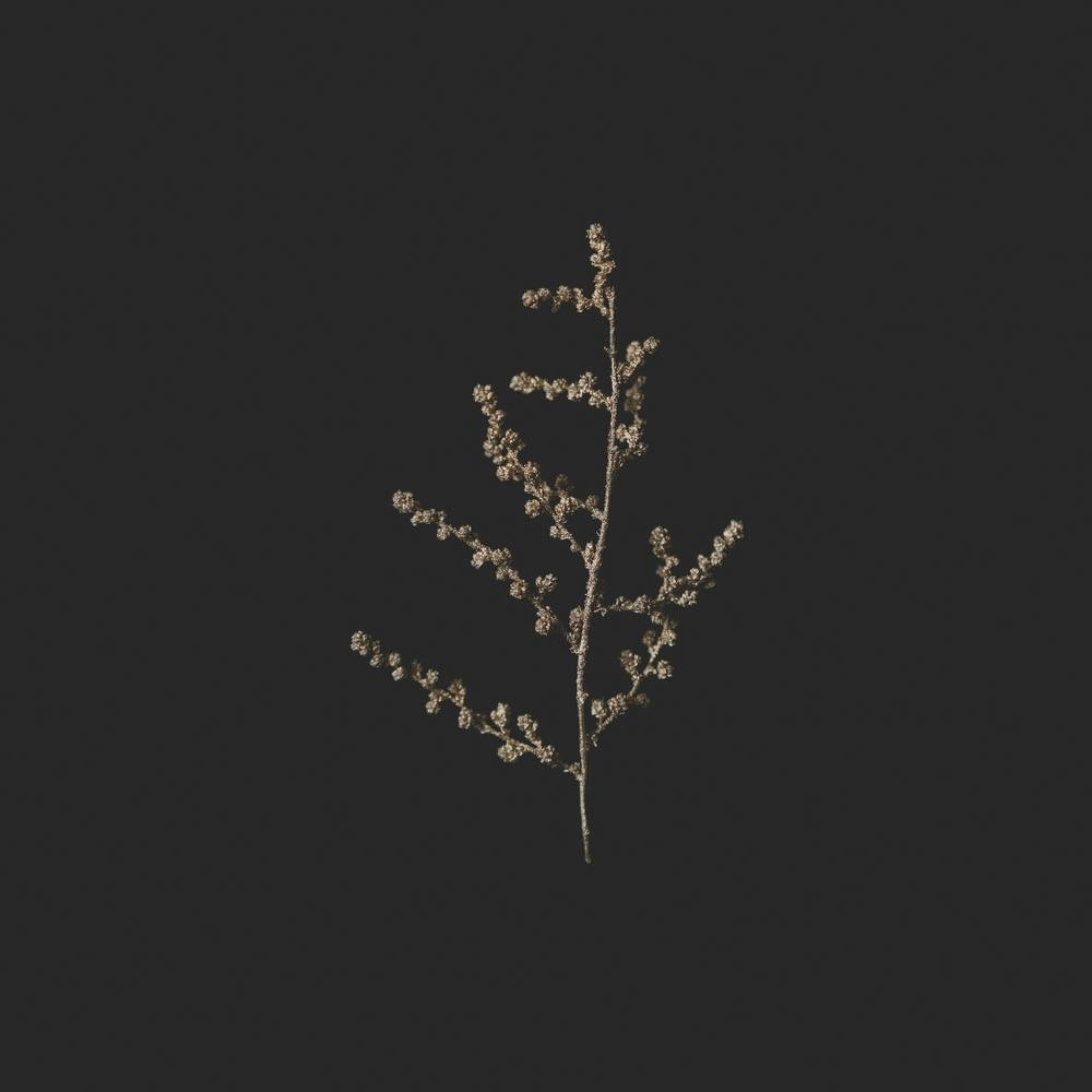 Delicate Golden Botanicals Square