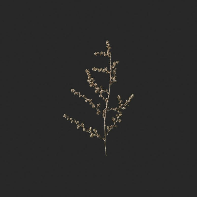 Delicate Golden Botanicals Square
