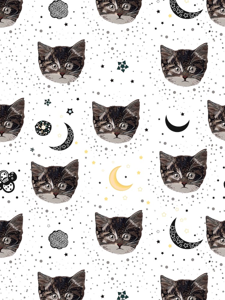 Cats And Space