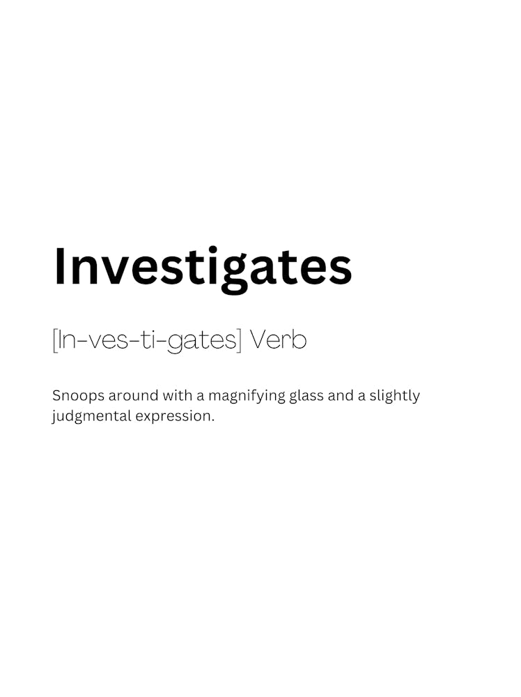 Investigates Definition Meaning