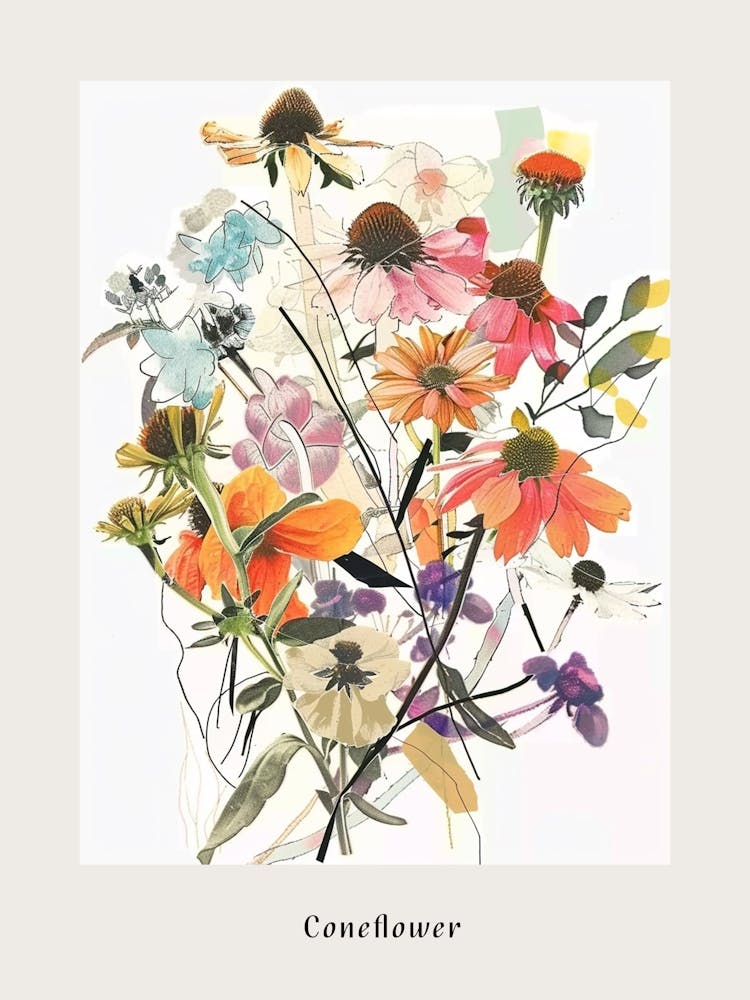 Coneflower Collage Flower Bouquet Poster