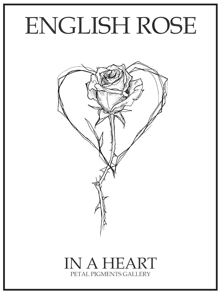English Rose In A Heart Line Drawing 4 Poster