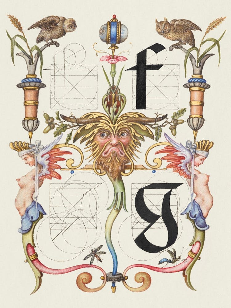 Guide For Constructing The Letters F And G From Mira Calligraphiae Monumenta, Joris Hoefnagel