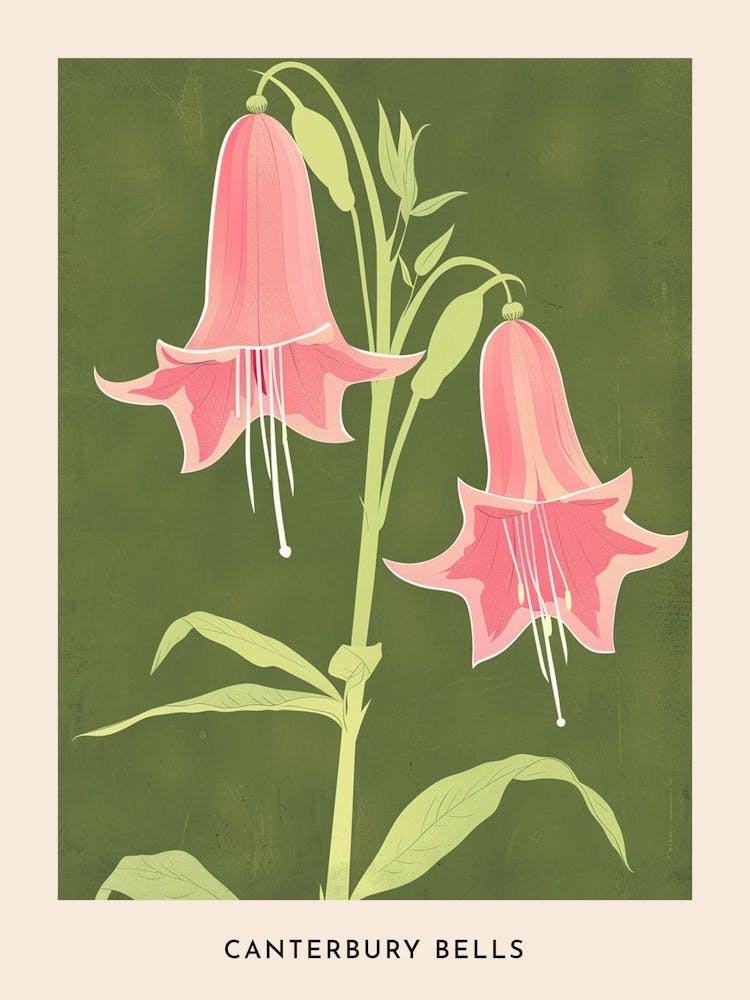 Pink & Green Canterbury Bells 2 Flower Poster