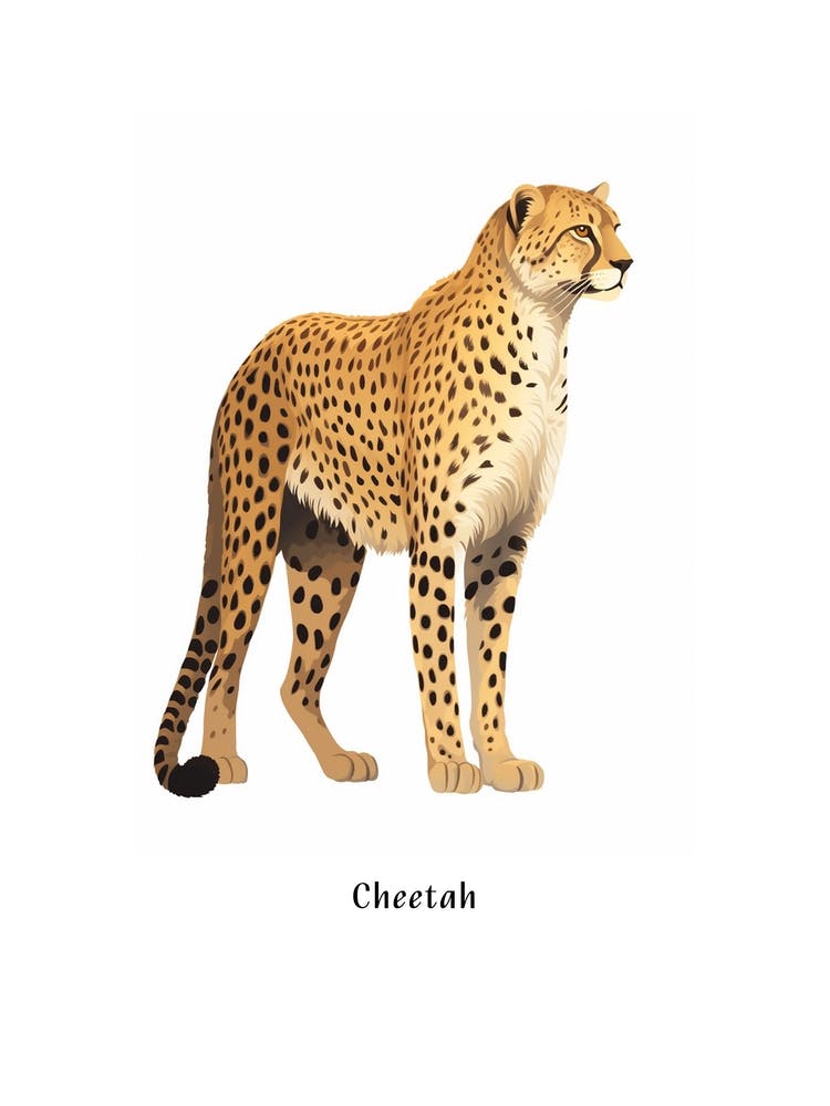 Cheetah Kids Animal Poster