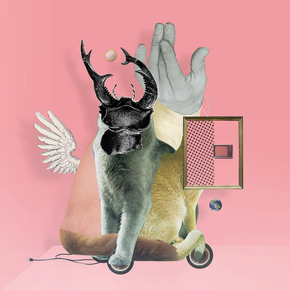 KatzenJammer 16