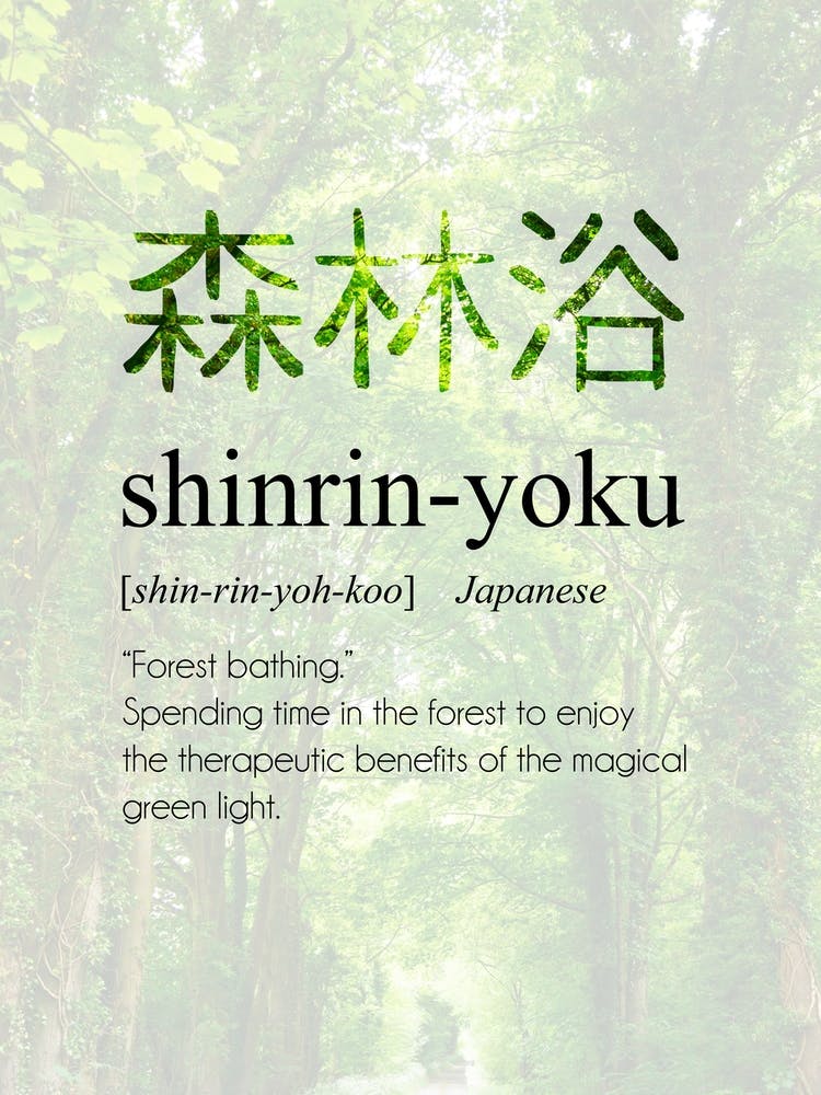 Shinrin Yoku Definition