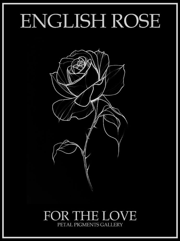 English Rose Black And White Line Drawing 38 Poster Inverted