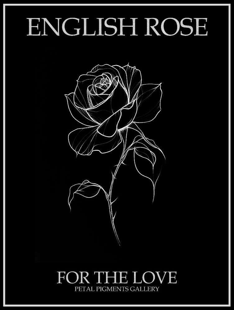 English Rose Black And White Line Drawing 38 Poster Inverted