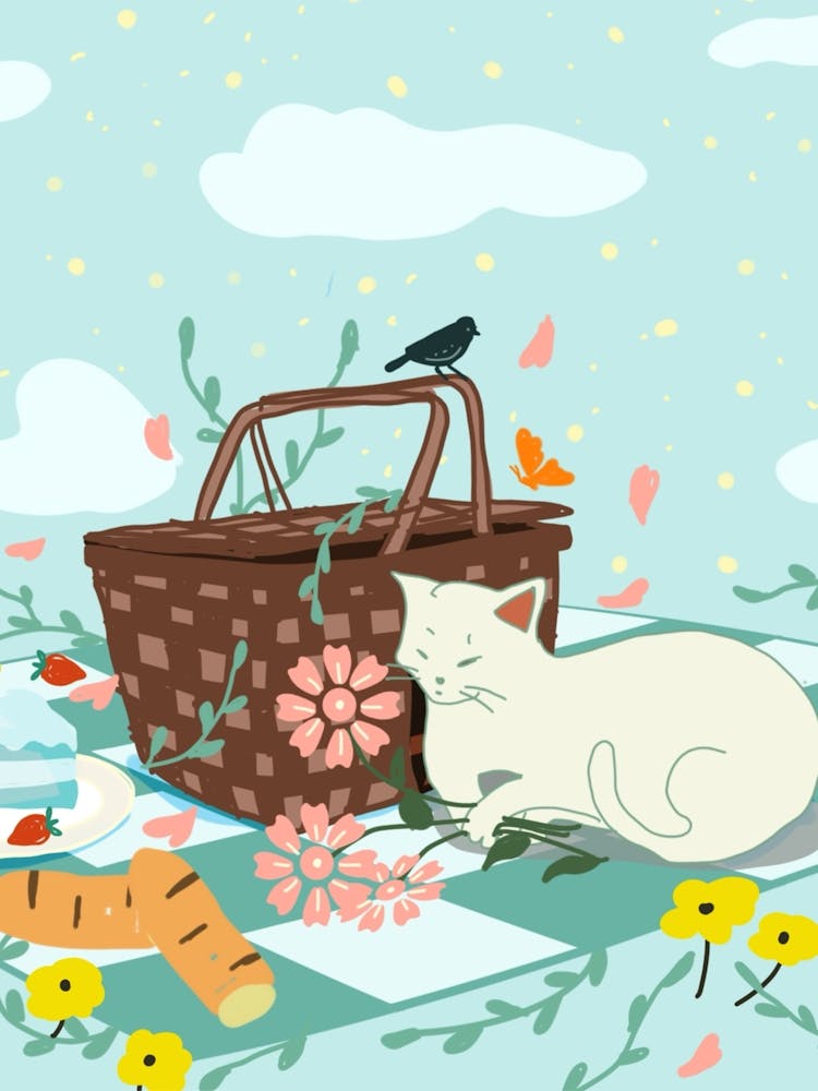 Picnic With Cat