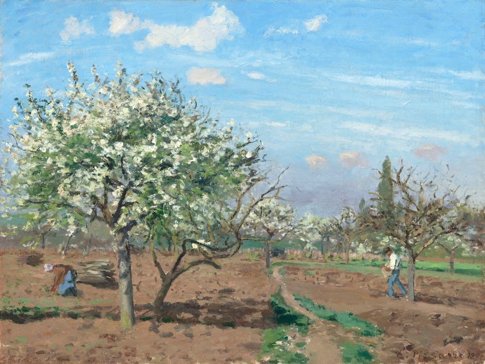 Orchard In Bloom, Louveciennes (1872), Camille Pissarro