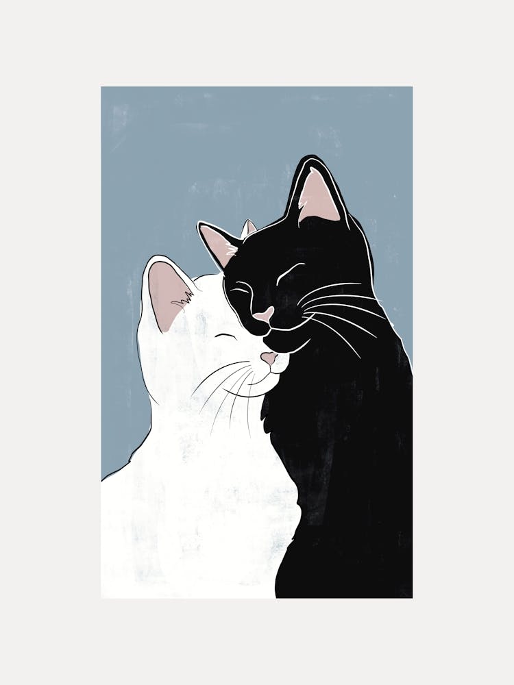 Cat Love