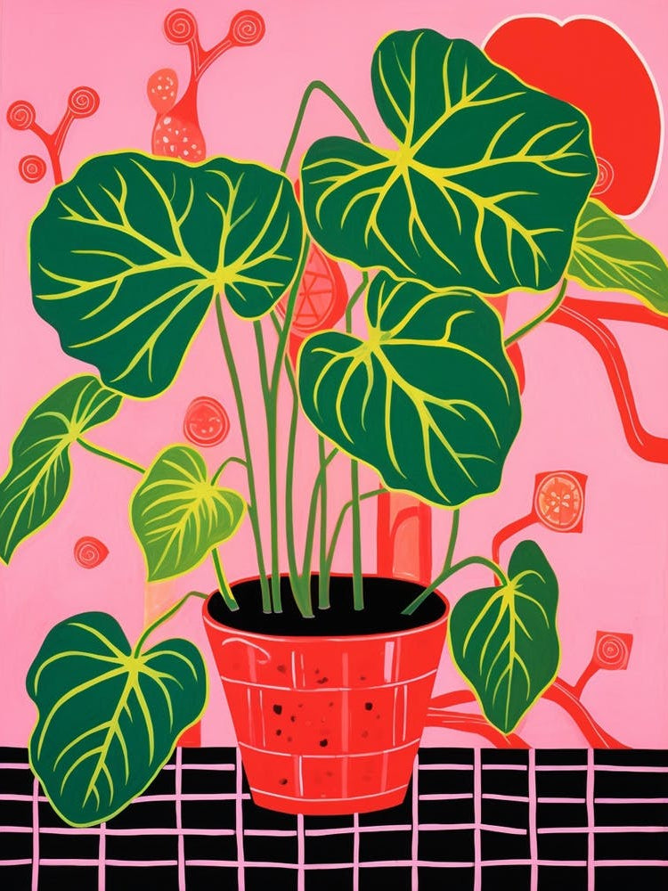 Pink And Red Plant Illustration Swiss Cheese Plant 3