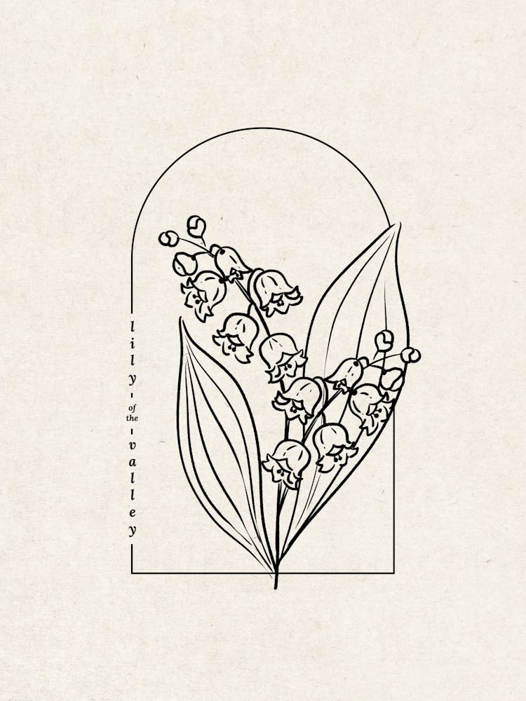 Lily Of The Valley Flower