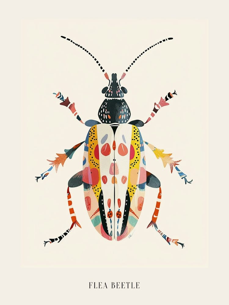 Colourful Insect Illustration Flea Beetle 18 Poster