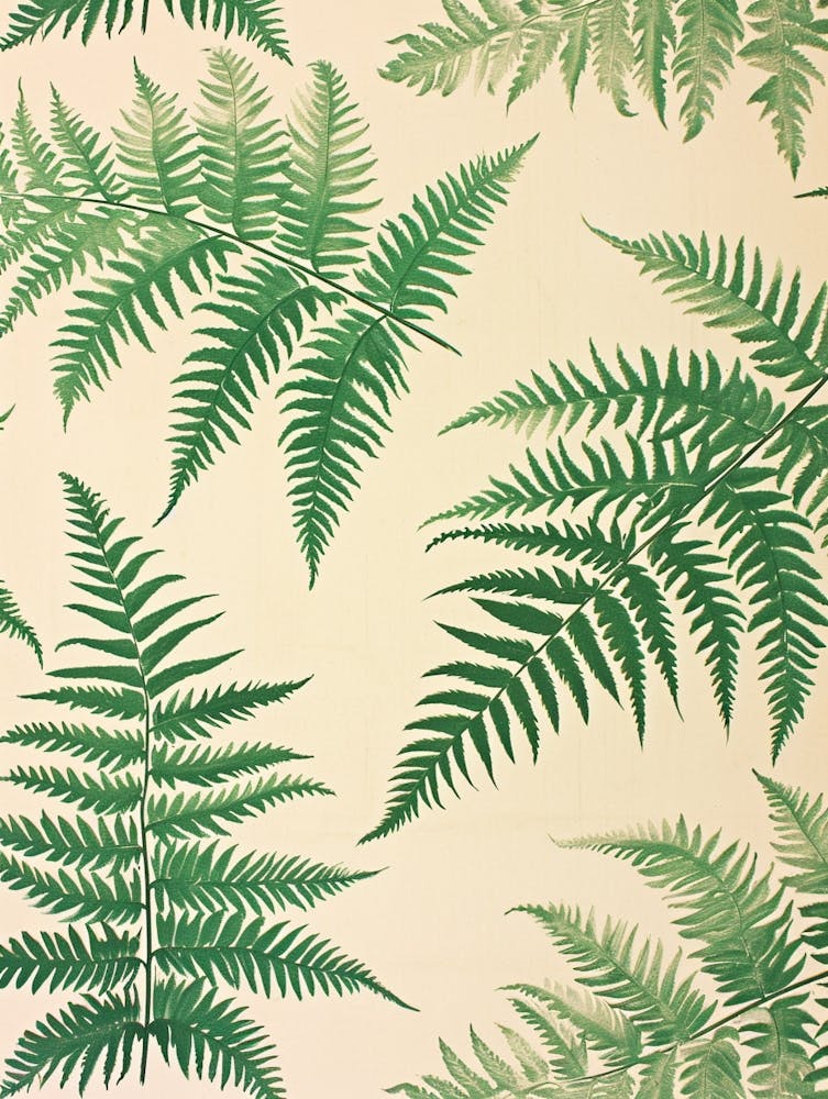 Muster-Poster Königsfarn 1